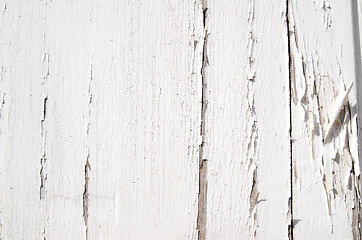 Image showing Cracked White Paint