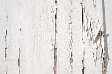 Image showing Cracked White Paint