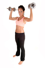 Image showing Girl lifting dumbbells.