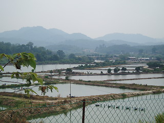 Image showing Fresh Water Fish Ponds