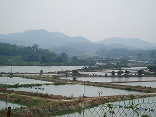 Image showing Ponds & Mountains