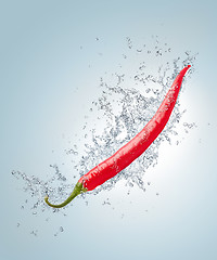 Image showing Hot Pepper