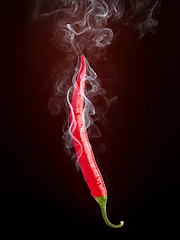 Image showing Hot Pepper