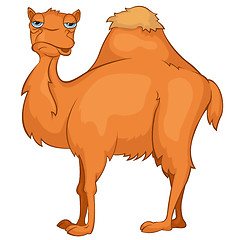 Image showing Cartoon Character Camel