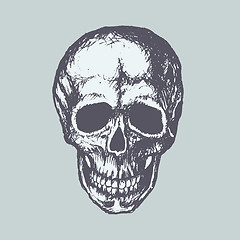 Image showing Human Skull