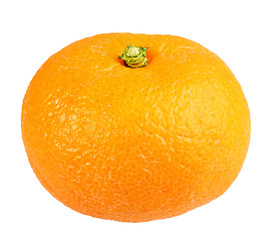 Image showing One full fruit of orange tangerine