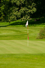 Image showing Golf Green With Flag