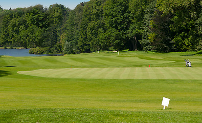 Image showing Golf Course in Forest