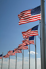 Image showing American flags 