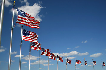 Image showing American flags 