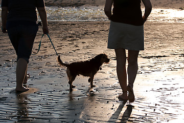 Image showing Women Walking The Dog