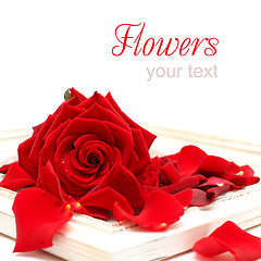 Image showing Vintage Background with Red Rose Isolated