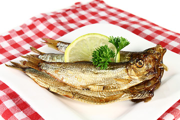 Image showing Sprats