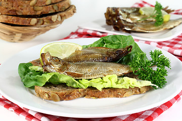 Image showing Sprats