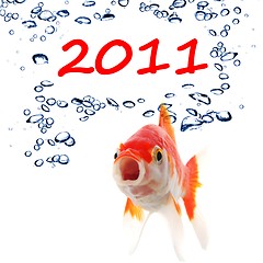 Image showing new year 2011