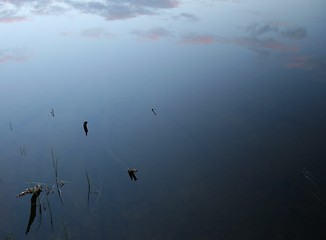 Image showing Summer night lake