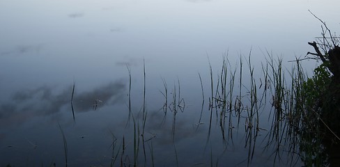 Image showing Summer night lake