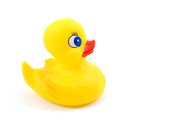 Image showing toy rubber duck 