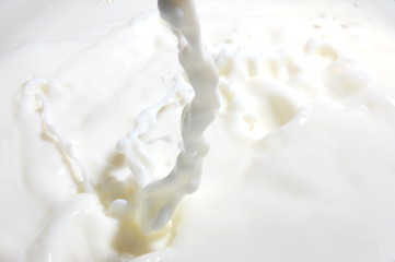 Image showing milk splash