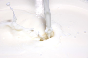 Image showing splashing milk