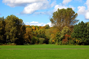 Image showing forest and garden under blue sky at fall