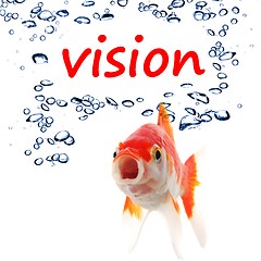 Image showing vision