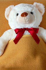 Image showing sick teddy bear