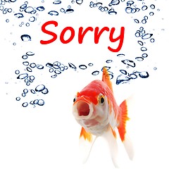 Image showing sorry