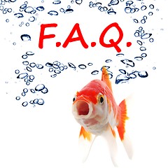 Image showing faq