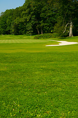 Image showing Golf Course in Forest 