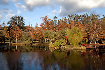 Image showing Pond in the Fall