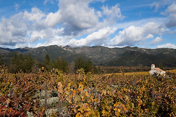 Image showing Napa Valley