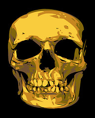 Image showing golden human skull