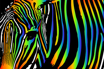 Image showing zebra in rainbow colors