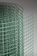 Image showing Green Wire Mesh