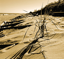 Image showing Coast of Baltic