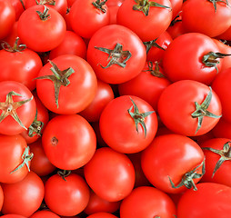 Image showing tomatoes 