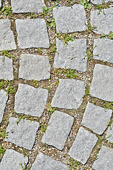 Image showing pavement stone tile
