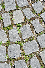 Image showing pavement stone tile