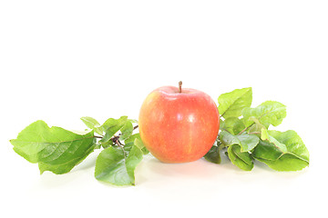 Image showing Apple with leaves