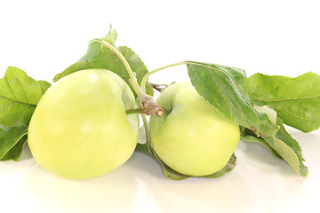 Image showing Apples with leaves