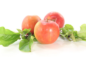 Image showing Apples with leaves