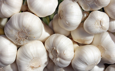 Image showing Garlic