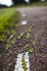 Image showing Country road