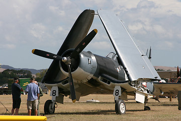 Image showing folded wings