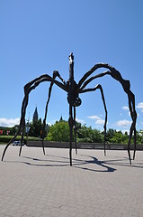 Image showing Giant Spider in Ottawa