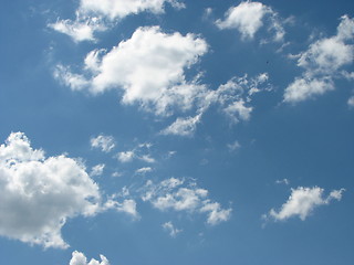 Image showing big sky, small bird