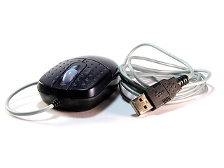 Image showing Mouse with USB