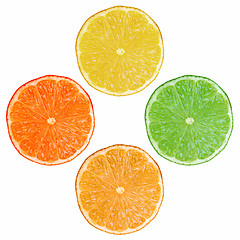 Image showing Fruit slices