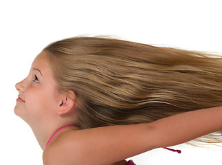 Image showing Beautiful Hair